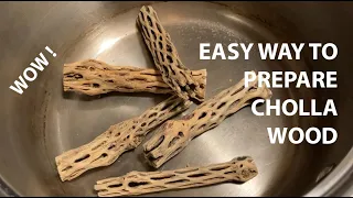 Adding cholla wood to your aquarium? Watch this first!