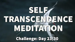 Meditation for TRANSCENDENCE - Transcendental Experience | 2022 Challenge [Day 23]  | Raphael