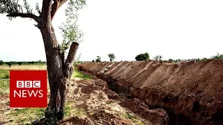 University digs trench to stop Boko Haram - BBC News