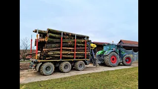 🌲*Fendt 1050 Vario* & Tridem TimberTrailer • The biggest Fendt • Forstbetrieb Aichholz • Part-3 🌲