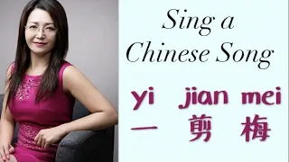 Yi jian mei| 一剪梅| Learn Chinese songs| Learn Chinese|Mandarin Lessons|HSK1|HSK2|Chinese for beginner