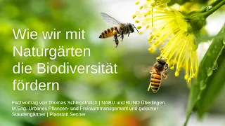 Fachvortrag bei NABU | Wie wir mit Naturgärten die Biodiversität fördern | Thomas Schlegelmilch