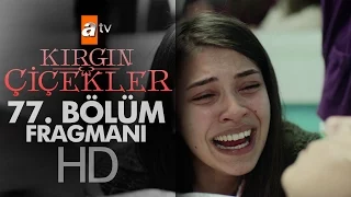 Kırgın Çiçekler 77. Bölüm Fragmanı - atv