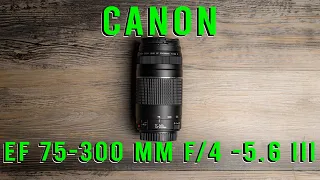 Canon EF 75-300mm f/4-5.6 Lens Review, W/Sample Images