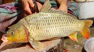 Amazing Carp Fish Cutting Skills Live In Bangladesh | Fish Cutting Skills