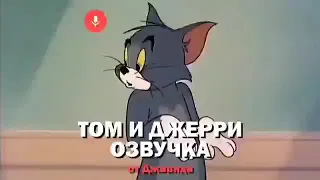 Джавид - Том и Джери (😂Озвучка😂)