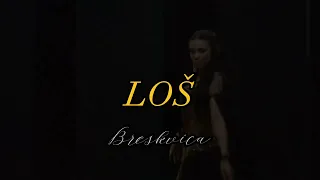 BRESKVICA - LOS (DonMp3 Remix)