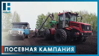 В Тамбовской области в разгаре весенняя посевная кампания