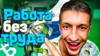 Как зарабатывать деньги в Чехии не работая 😎? Фонд Amir Capital 💰