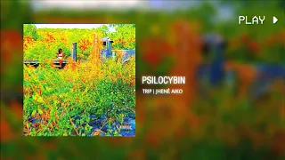 psilocybin | jhené aiko // 963Hz, B5 conversion