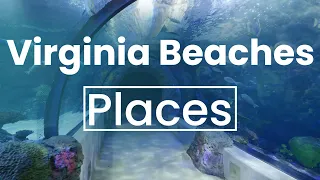 Top 5 Best Places to Visit in Virginia Beach, Virginia | USA - English