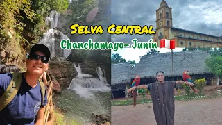 Selva Central: Chanchamayo- Junín 🇵🇪