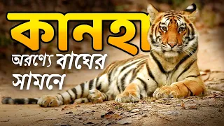 জঙ্গলে বাঘের সামনে -  Kanha Nationa Park | Bird Survey 2024