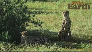 WildEarth - Sunset - 16 January 2021