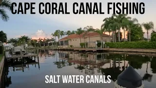 Fishing The Cape Coral Canals In Florida | Beginners And Visitor Gear Guide
