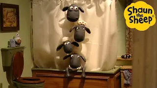 Shaun the Sheep 🐑 Hide in the Shower! - Cartoons for Kids 🐑 Full Episodes Compilation [1 hour]