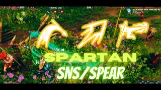 New World Aggressive Spartan light SNS/SPEAR 1vX build shown in the video.