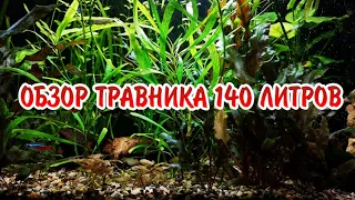 ОБЗОР ТРАВНИКА 140 ЛИТРОВ