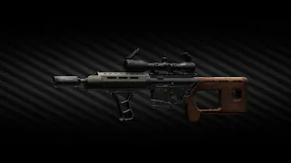 Cursed Guns | ADAR | Tarkov