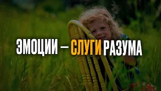 Эмоции НЕ ПРОТИВОСТОЯТ разуму — это ошибка!