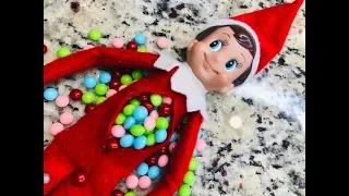 WHAT'S INSIDE THE ELF?