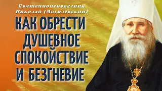 Как обрести душевное спокойствие и безгневие? - священноисповедник Николай (Могилевский)