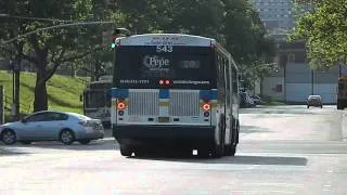 Westchester County Bee Line 2001 Neoplan AN460-A Transliner Articulated #543 on Route 20