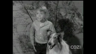 Lassie - Episode #246 - "Señor Coyote" - Season 7, Ep. 27 - 3/19/1961
