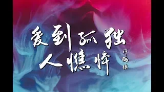 许鹤缤 - 爱到孤独人憔悴『我想再来酒一杯 趁着夜色慢慢品味 ♪』【動態歌詞】