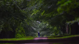 Hatfield Park - Explore The Forest Walks