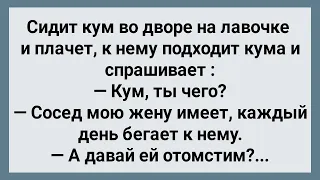 Жена По Ночам Ходит к Соседу! Муж Стал Мстить! Сборник Свежих Анекдотов! Юмор!