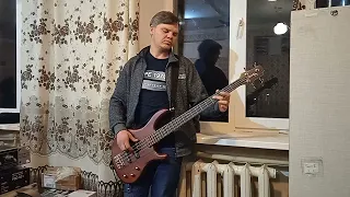 Листья жёлтые (cover)