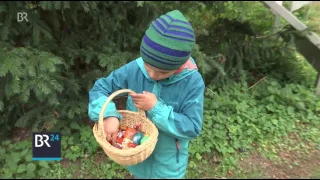 Eiersuchen am Ostersonntag in München | BR24