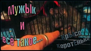 МужЫк, и всё такое... (Wild Rats | Дикие крысы)