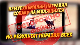 Немусульманин натравил собаку на молящихся (ЭТО ФЕЙК!)  обращение к каналу АЛИФ ТВ