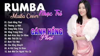 Cánh Hồng Phai, Thương Ly Biệt Maika Cover - Tuyệt Phẩm Nhạc Trẻ Rumba 8x 9x Hot Tiktok