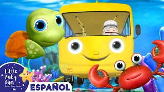 Autobús bajo el agua |🚌 Caricaturas de autobuses 🚌| Canciones infantiles | LBB Español