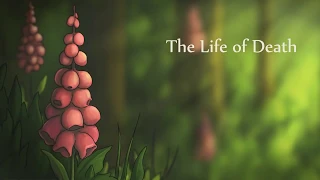 A triste vida da morte (the sad life of death)animação