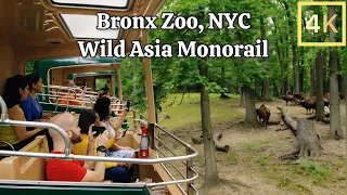 Wild Asia Monorail, Bronx Zoo, New York City - 4K