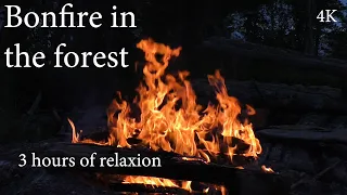 4K Bonfire in the forest. Relaxing Fireplace 4K Video 4K Костер в лесу. Расслабляющий Камин 4K Видео