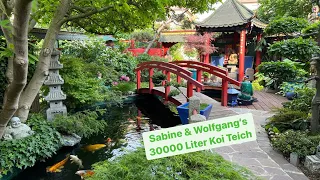 Sabine und Wolfgangs Koi Teich im wunderschön angelegten japanischen Garten.