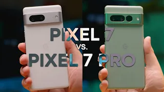 Google Pixel 7 vs. Pixel 7 Pro: Which should you buy?