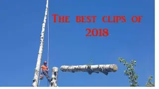 The best clips of 2018, ARBORIST.FI