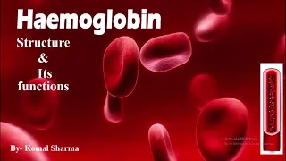Hemoglobin- structure & its functions | Study MLT