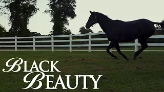 Black Beauty (2020) | Official International Trailer | Kate Winslet | Luke Perry | Bruce Davison