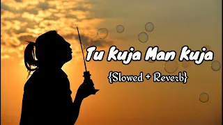 Tu Kuja Man Kuja (Slowed + Reveeb) Tu Kaha Mein Kaha"  Coke Studio Season 9 Slowed Song  |