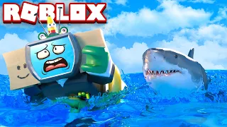 Swim FAST From ANGRY SHARK In ROBLOX!