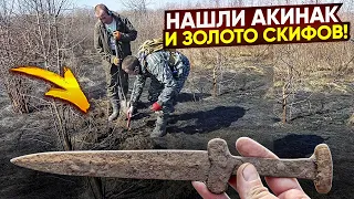 Откопали древний меч в корнях и Золото Скифов! Тур от Серого Копателя  Воронеж 2 часть