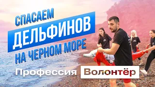 Кто спасает дельфинов в Черном Море? / Профессия волонтёр
