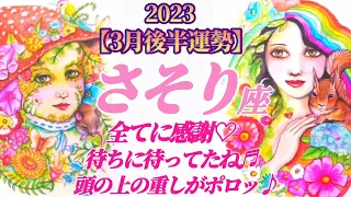 【蠍座♏3月後半運勢】全てに感謝♪待ちに待ってた！頭の上の重しがポロッととれるよ♬　✡️4択で📬付き✡️　❨タロット占い❩